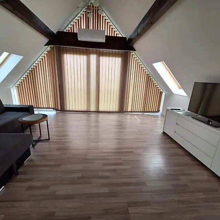 Grosszuegige 100 M2 Mit Terrasse * 林茨