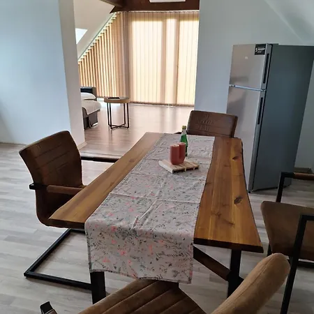 Appartement Grosszuegige 100 M2 Mit Terrasse Linz